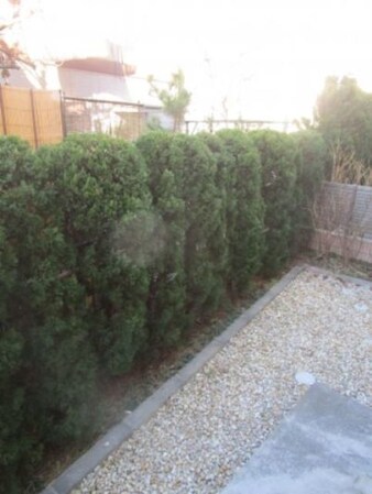 ガーデンハウス Cの物件内観写真